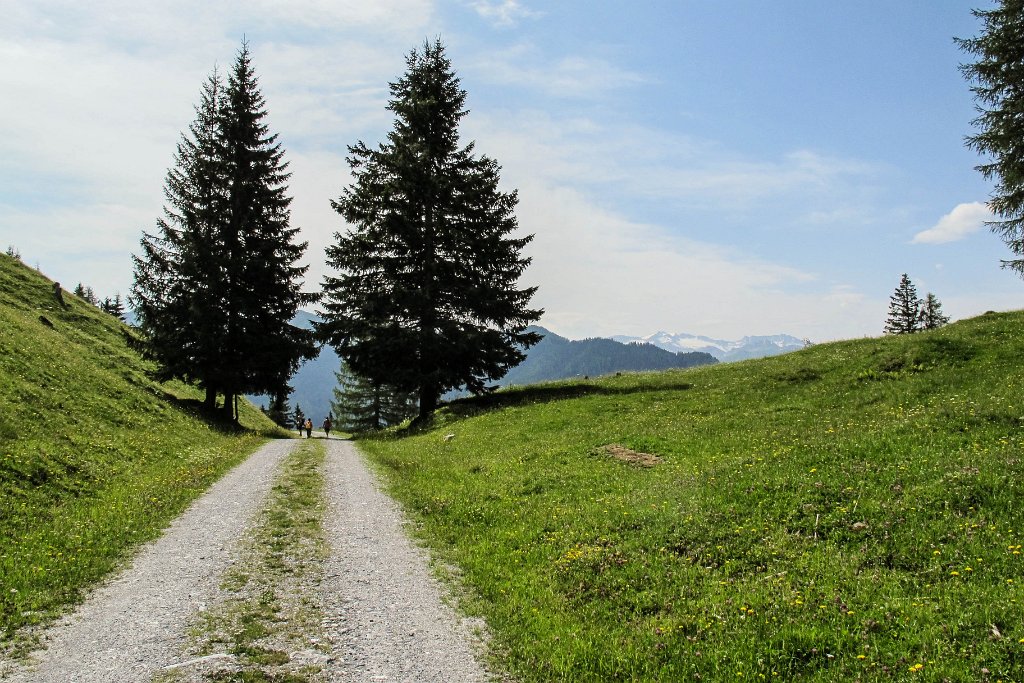 04 weiter geht es zur Gerstreitalm.jpg
